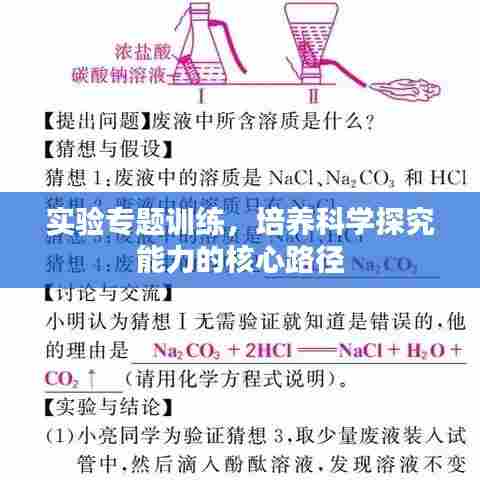 实验专题训练,培养科学探究能力的核心路径