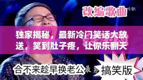 独家揭秘,最新冷门笑话大放送,笑到肚子疼,让你乐翻天!