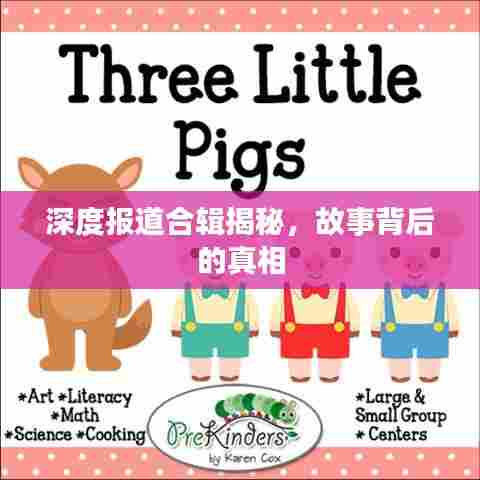 深度报道合辑揭秘，故事背后的真相