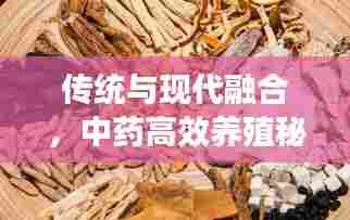 传统与现代融合，中药高效养殖秘籍揭秘