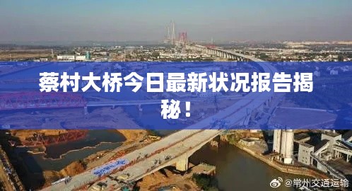 蔡村大桥今日最新状况报告揭秘！