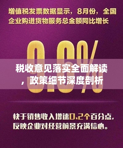 税收意见落实全面解读,政策细节深度剖析