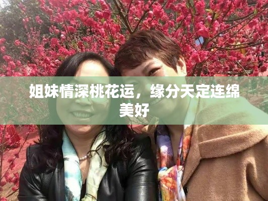 姐妹情深桃花运,缘分天定连绵美好