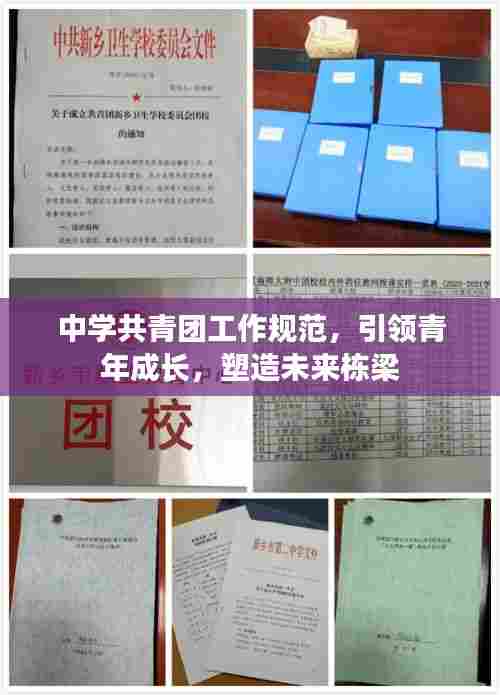 中学共青团工作规范,引领青年成长,塑造未来栋梁