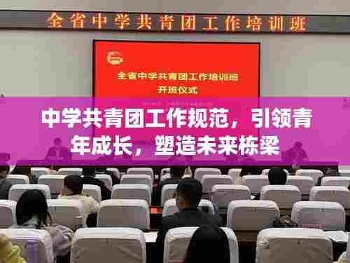 中学共青团工作规范,引领青年成长,塑造未来栋梁