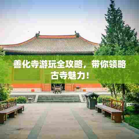 善化寺游玩全攻略,带你领略古寺魅力!