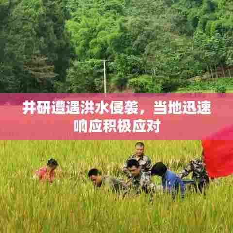 井研遭遇洪水侵袭，当地迅速响应积极应对