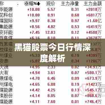 黑猫股票今日行情深度解析