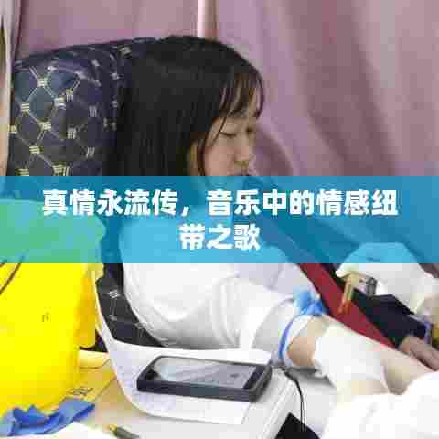 真情永流传,音乐中的情感纽带之歌