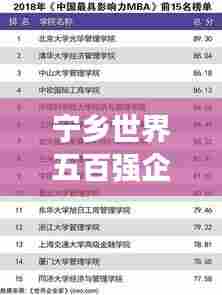 宁乡世界五百强企业地位及影响力深度解析