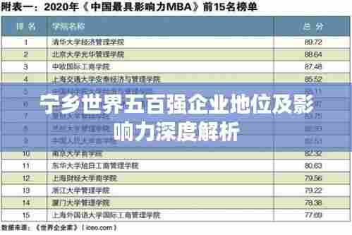 宁乡世界五百强企业地位及影响力深度解析