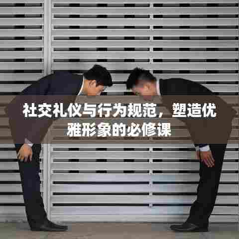 社交礼仪与行为规范，塑造优雅形象的必修课