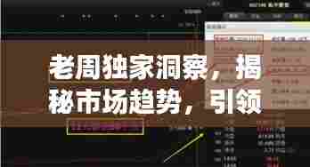老周独家洞察,揭秘市场趋势,引领投资风向标