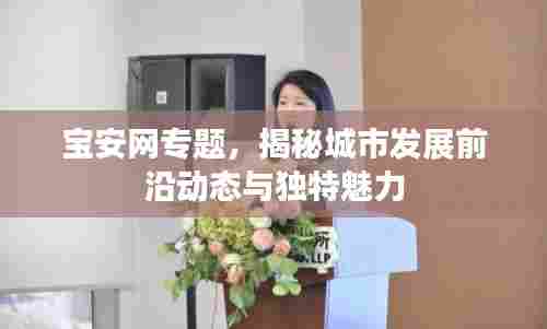 宝安网专题，揭秘城市发展前沿动态与独特魅力