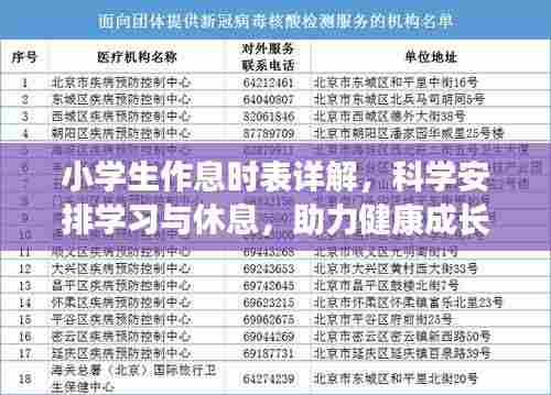 小学生作息时表详解,科学安排学习与休息,助力健康成长——百度知识分享