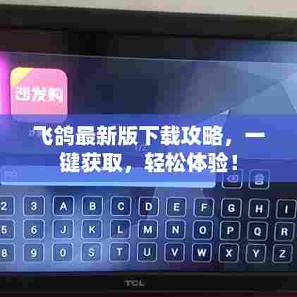 飞鸽最新版下载攻略,一键获取,轻松体验!