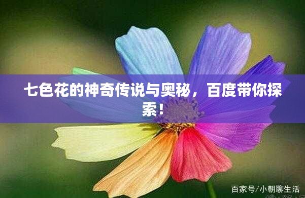 七色花的神奇传说与奥秘,百度带你探索!