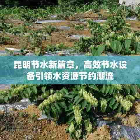 昆明节水新篇章,高效节水设备引领水资源节约潮流