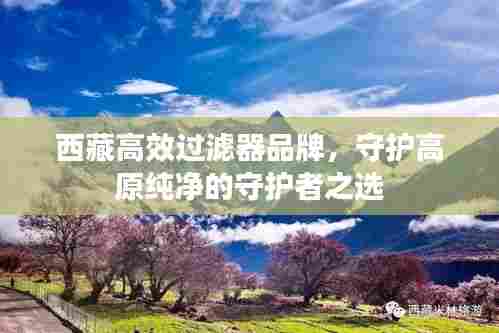 西藏高效过滤器品牌,守护高原纯净的守护者之选