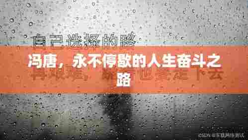 冯唐，永不停歇的人生奋斗之路