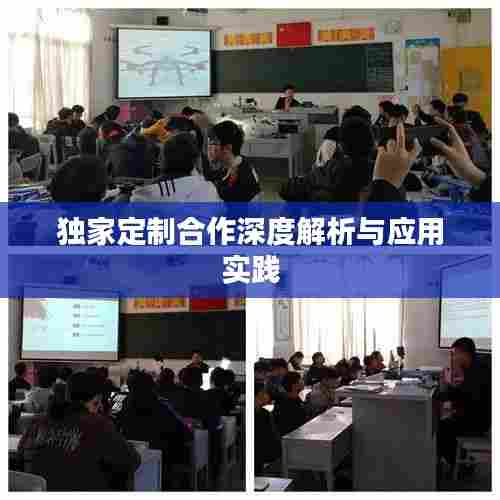 独家定制合作深度解析与应用实践