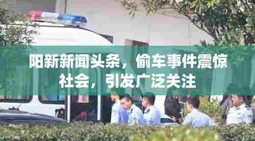 阳新新闻头条,偷车事件震惊社会,引发广泛关注