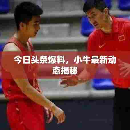 今日头条爆料，小牛最新动态揭秘