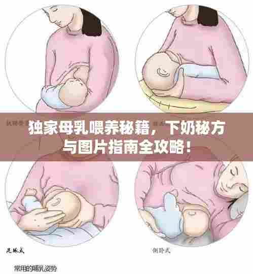 独家母乳喂养秘籍,下奶秘方与图片指南全攻略!