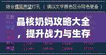 晶核奶妈攻略大全，提升战力与生存能力的秘籍指南