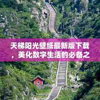 天梯阳光壁纸最新版下载,美化数字生活的必备之选