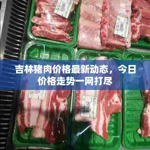 吉林猪肉价格最新动态,今日价格走势一网打尽