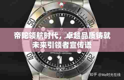 帝陀领航时代,卓越品质铸就未来引领者宣传语