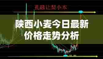 陕西小麦今日最新价格走势分析