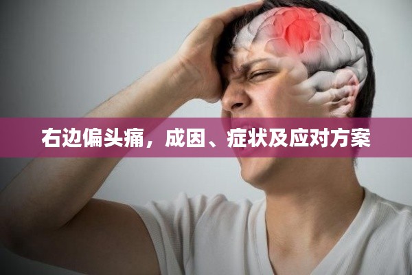 右边偏头痛,成因、症状及应对方案