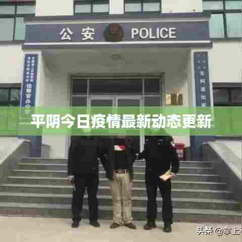 平阴今日疫情最新动态更新