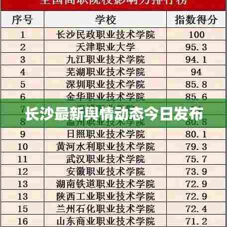 长沙最新舆情动态今日发布
