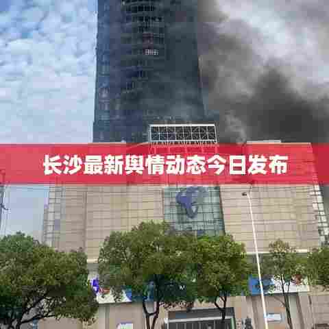 长沙最新舆情动态今日发布