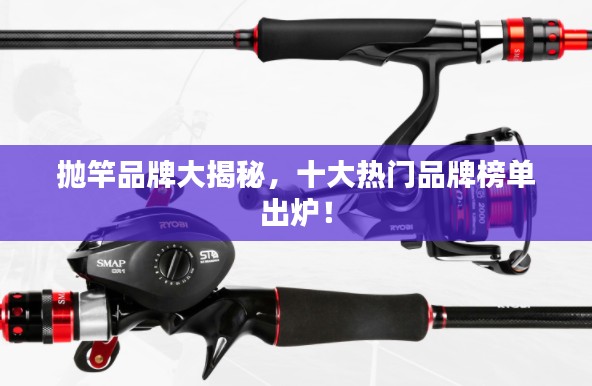抛竿品牌大揭秘，十大热门品牌榜单出炉！