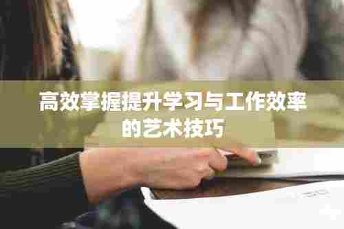 高效掌握提升学习与工作效率的艺术技巧