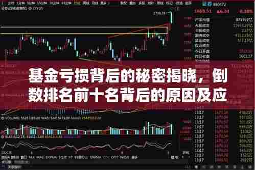 基金亏损背后的秘密揭晓，倒数排名前十名背后的原因及应对策略解析