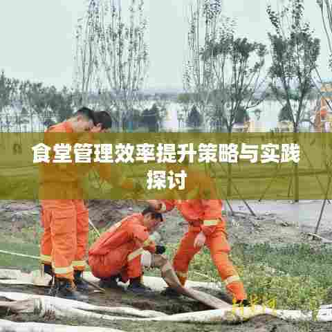 物以希为贵 第6页