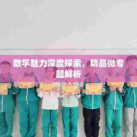 数学魅力深度探索,精品微专题解析