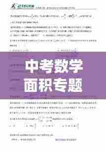 中考数学面积专题深度解析