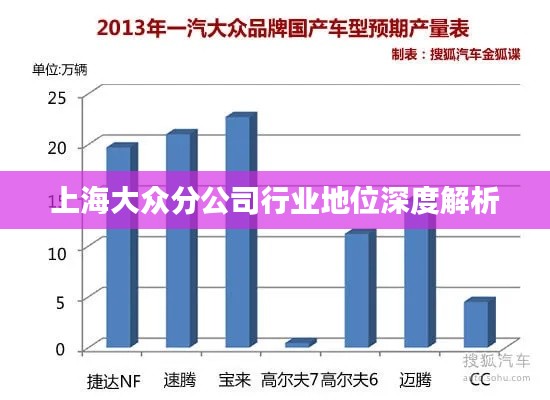 上海大众分公司行业地位深度解析