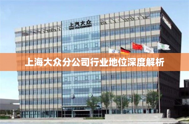 上海大众分公司行业地位深度解析