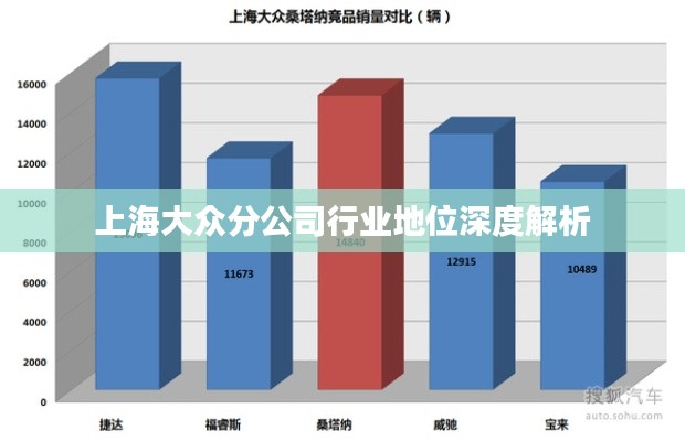 上海大众分公司行业地位深度解析