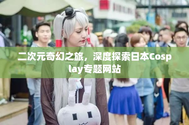 二次元奇幻之旅,深度探索日本Cosplay专题网站