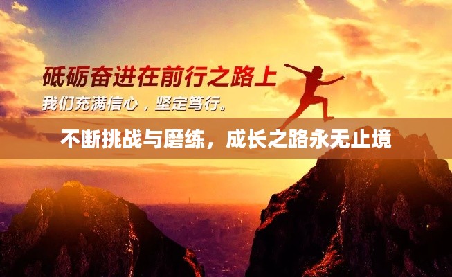 飞龙在天 第5页