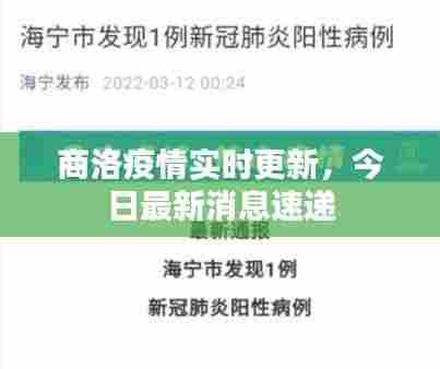 商洛疫情实时更新,今日最新消息速递