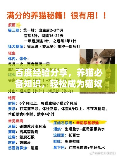 百度经验分享，养猫必备知识，轻松成为猫奴达人！